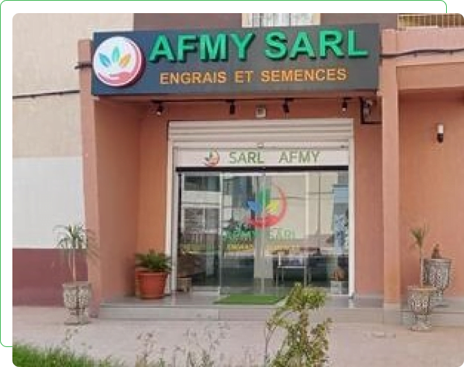 Sarl AFMY